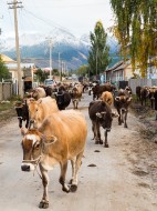 kyrgyzstan, Nicholas Orloff kyrgyzstan, Nicholas Orloff