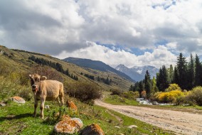 kyrgyzstan, Nicholas Orloff kyrgyzstan, Nicholas Orloff