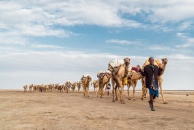 ethiopia, Nicholas Orloff ethiopia, Nicholas Orloff