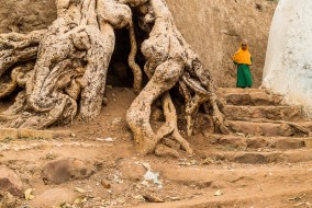 ethiopia, Nicholas Orloff ethiopia, Nicholas Orloff