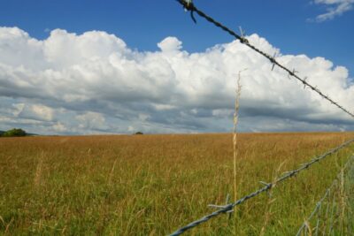 Slow Travel - Along the South Downs Way. © 2013 Nicholas Orloff Photography.
