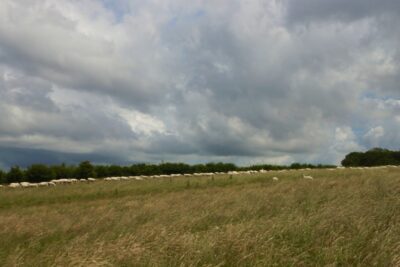 Slow Travel - Along the South Downs Way. © 2013 Nicholas Orloff Photography.