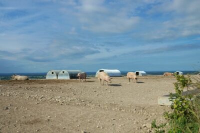 the benefits of slow travel: the south downs way, Nicholas Orloff