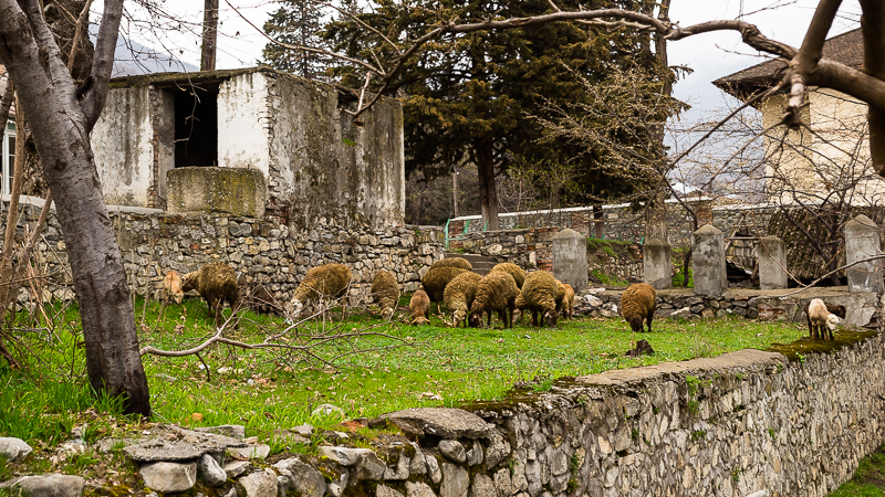 urbex sheki azerbaijan | Nicholas Orloff